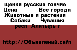 щенки русские гончие › Цена ­ 4 000 - Все города Животные и растения » Собаки   . Чувашия респ.,Алатырь г.